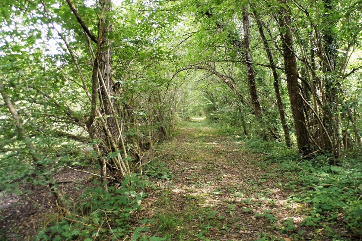 COULLONS Propriété de chasse Coullons 1