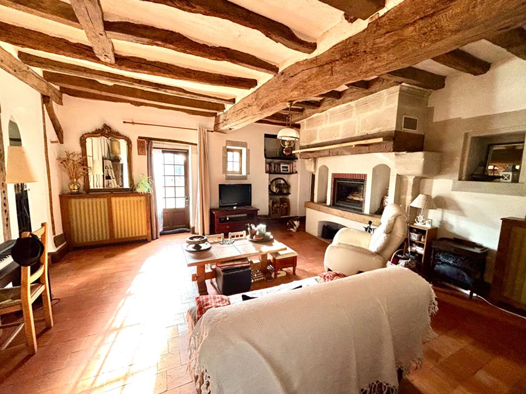 BEAUFORT-EN-VALLEE Demeure de prestige 7 pièce(s) 206 m2 - 3 biens distincts 5