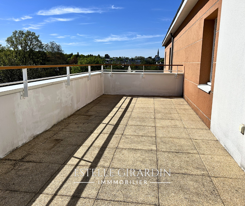 CARQUEFOU Appartement T5 lumineux avec terrasse - Carquefou 11