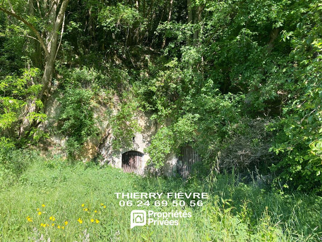 SAINT-PATRICE Coteaux Sur Loire 37130  Maison de 148 m2  4 chambres  dépendances  terrain caves troglodytiques 17
