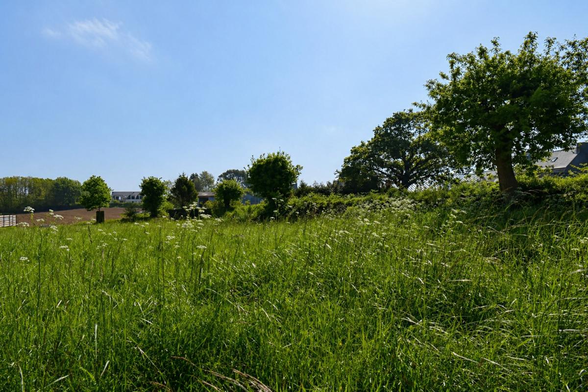 SAINT-QUAY-PERROS Vente terrain à bâtir viabilisé 790 m², au calme, Saint-Quay-Perros (22700) 2