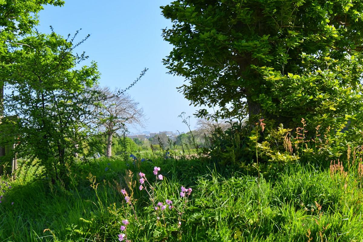 SAINT-QUAY-PERROS Vente terrain à bâtir viabilisé 790 m², au calme, Saint-Quay-Perros (22700) 3