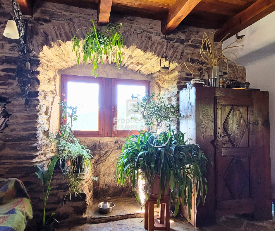 LES VANS Mas  typiquement cévenol - Malbosc (limite Gard/Ardèche) 215 m² | 8 pièces | Terrain  17 497 m²| Piscine 7