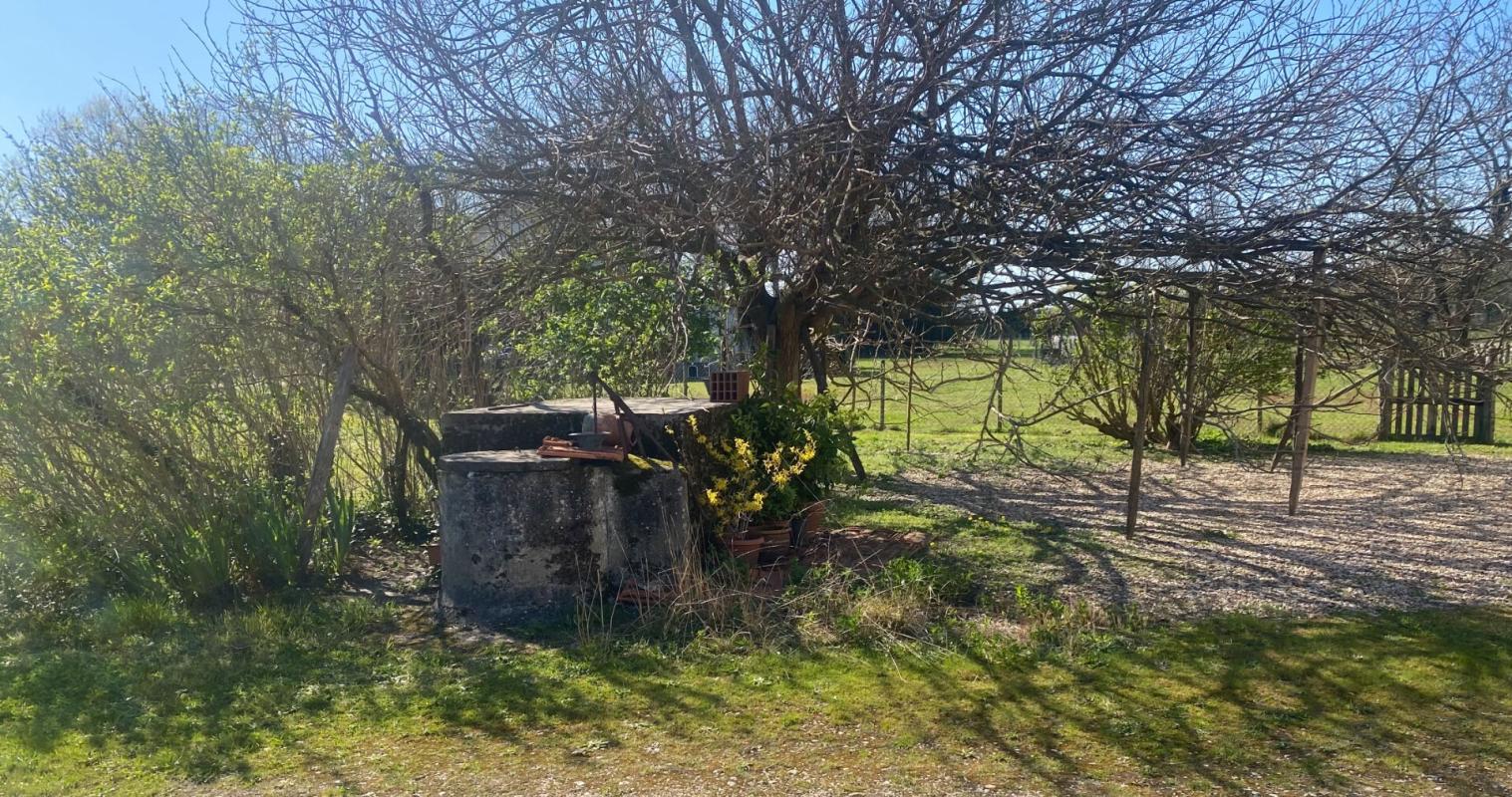 LE PIZOU Ensemble de biens maison + terrains constructibles Le Pizou 6