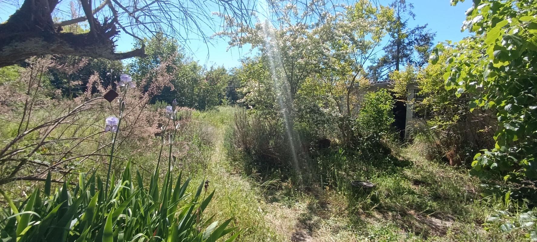 MAGNY-COURS MAGNY-COURS - MAISON DE PLAIN PIED, 3 CHAMBRES 10