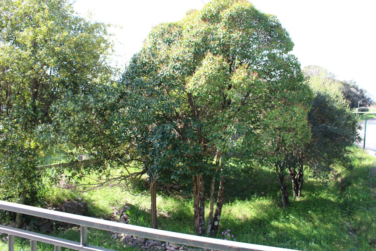 MEJANNES-LE-CLAP Maison Mejannes Le Clap 5 pièce(s) 130 m2 15