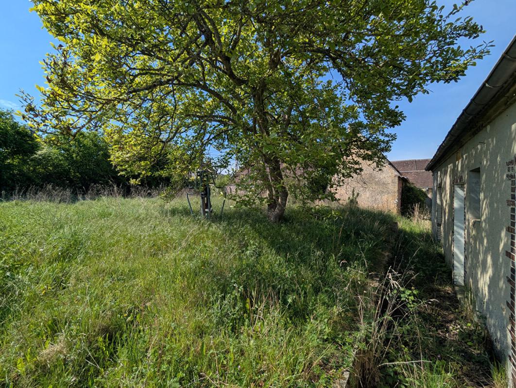 BRETONCELLES Propiété 7 pièce(s) 209 m2 (Ancien hotel) 17