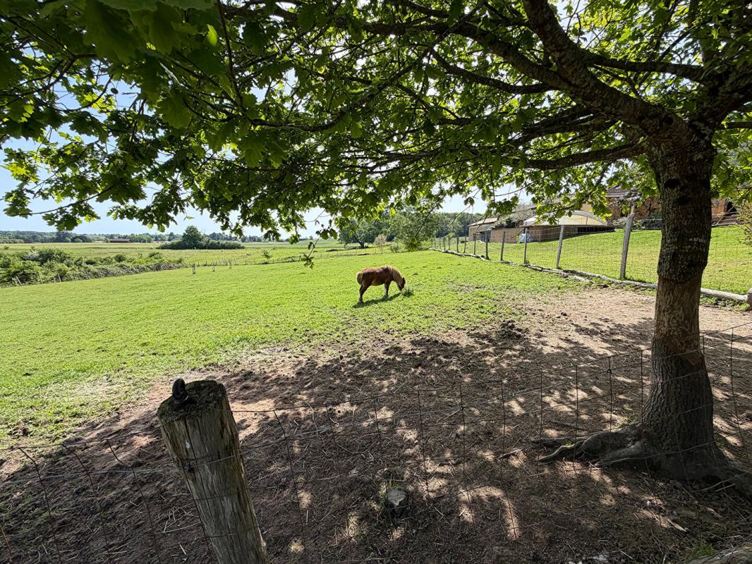 MARSALES Ancienne ferme rénovée avec piscine, vue dégagée et 6,6 hectares 16
