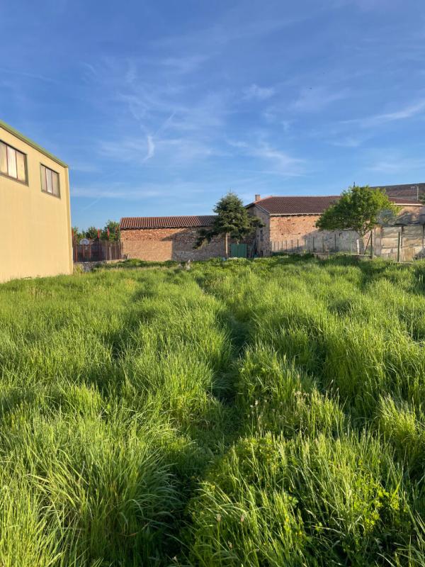 VéZELIN-SUR-LOIRE Maison forezienne 4 pièce(s) 133 m2 10