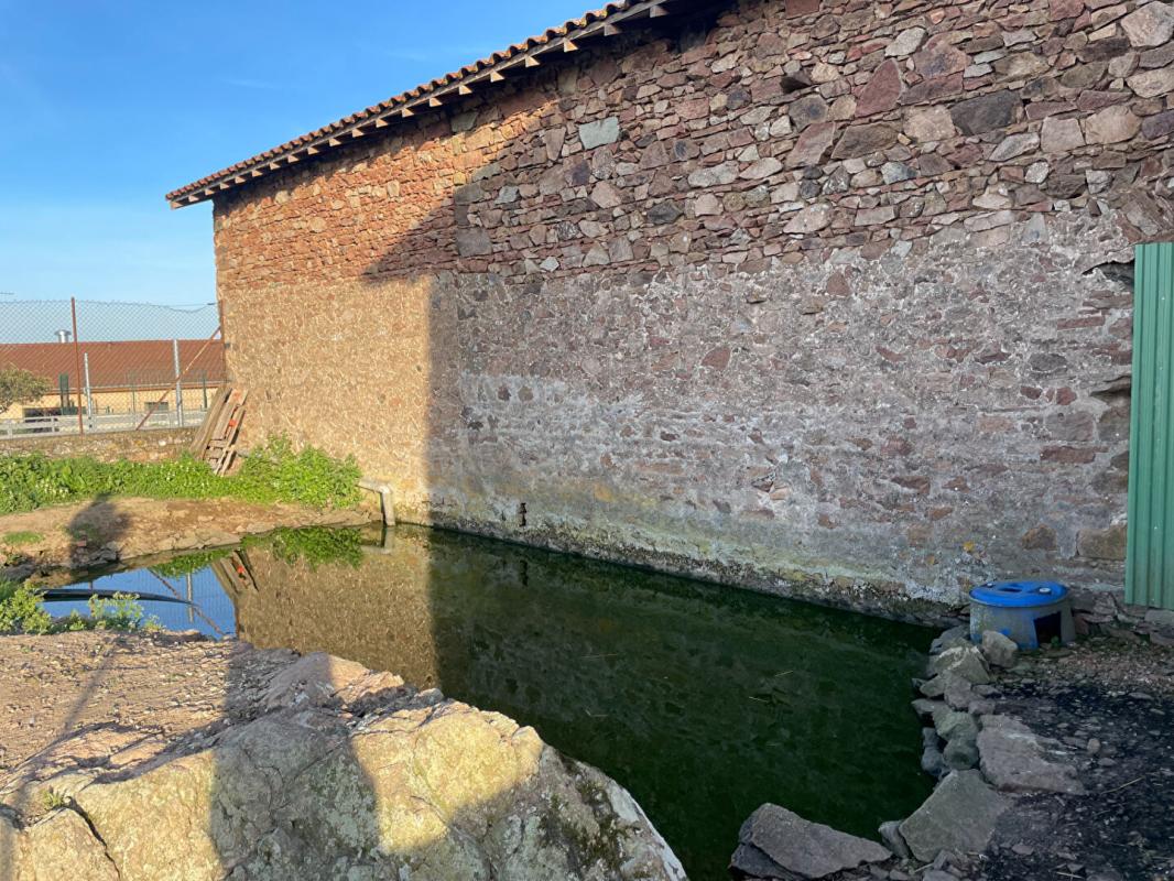 VéZELIN-SUR-LOIRE Maison forezienne 4 pièce(s) 133 m2 11