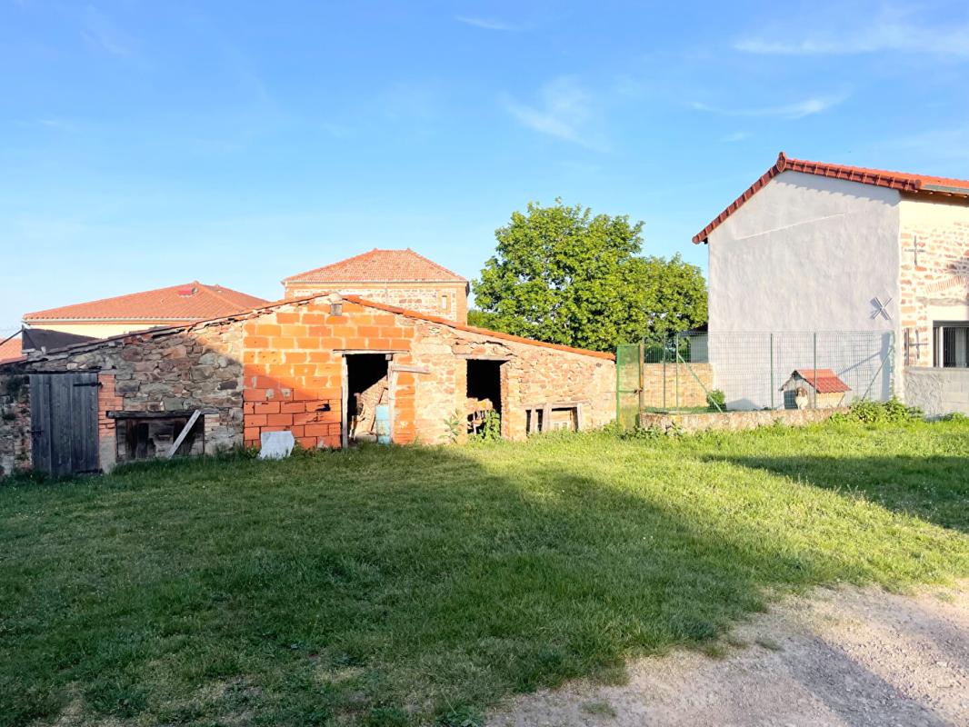 VéZELIN-SUR-LOIRE Maison forezienne 4 pièce(s) 133 m2 6
