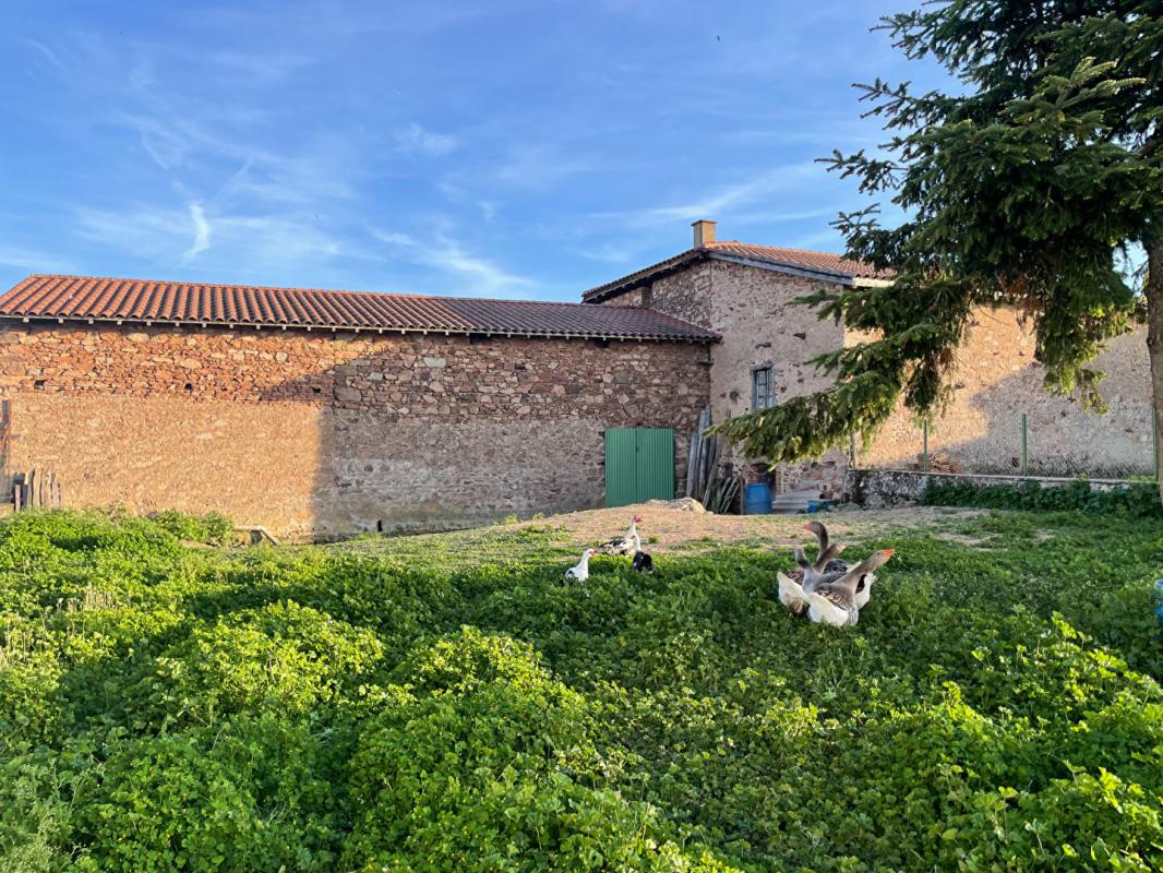 VéZELIN-SUR-LOIRE Maison forezienne 4 pièce(s) 133 m2 9