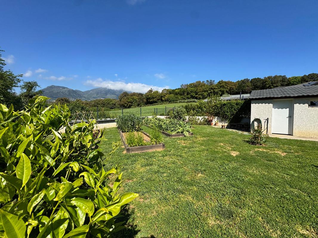 CERVIONE Villa  T4 Contemporaine entre Mer et Montagnes ? Cervione 10