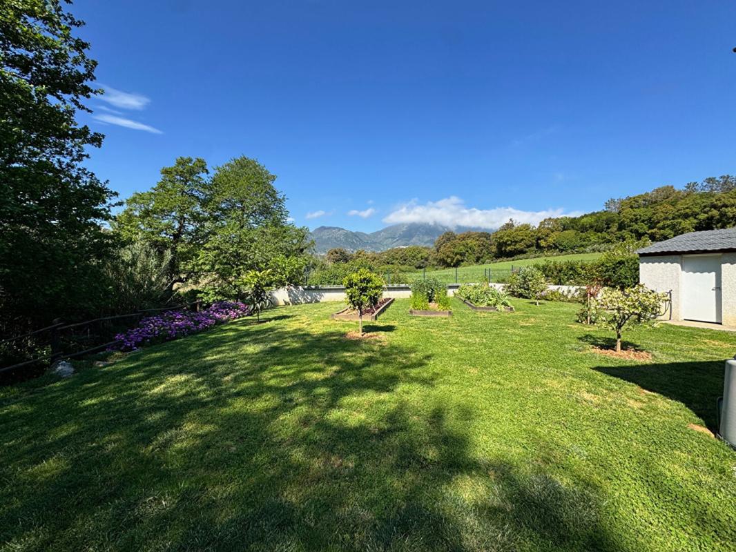 CERVIONE Villa  T4 Contemporaine entre Mer et Montagnes ? Cervione 8