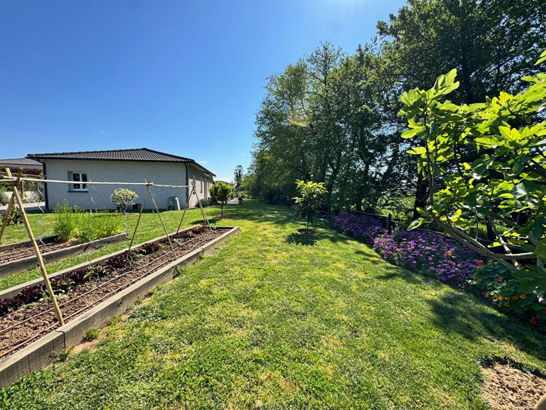 CERVIONE Villa  T4 Contemporaine entre Mer et Montagnes ? Cervione 9