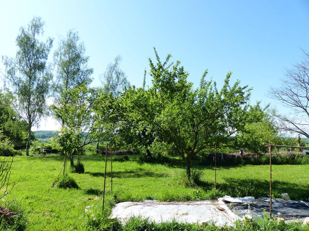 SAINT-AMAND-EN-PUISAYE Maison 3 pièce(s) 148 m2 avec atelier Viager Occupé 18