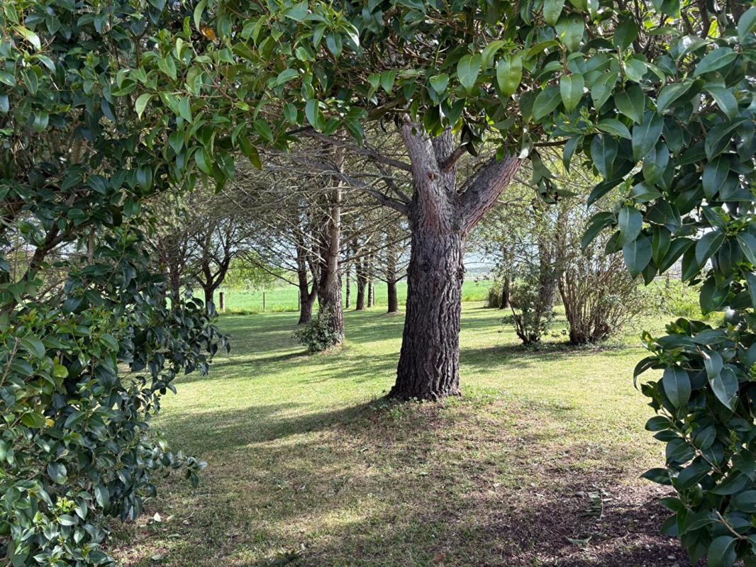 SAINT-FORT-SUR-LE-NE Maison  plain -pied Saint Fort Sur Le Ne 130m² AVEC PISCINE GARAGE 17