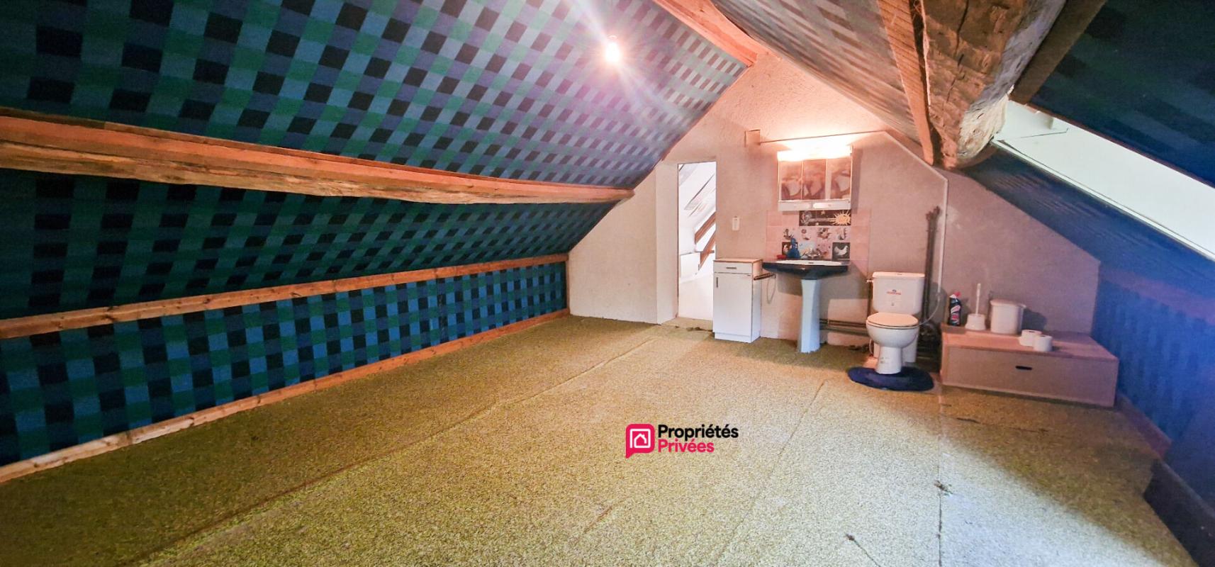 BAUDRES Baudres - longère de plain-pied 180 m² - 6 pièces/4 chambres - ascenseur - jardin arboré 11