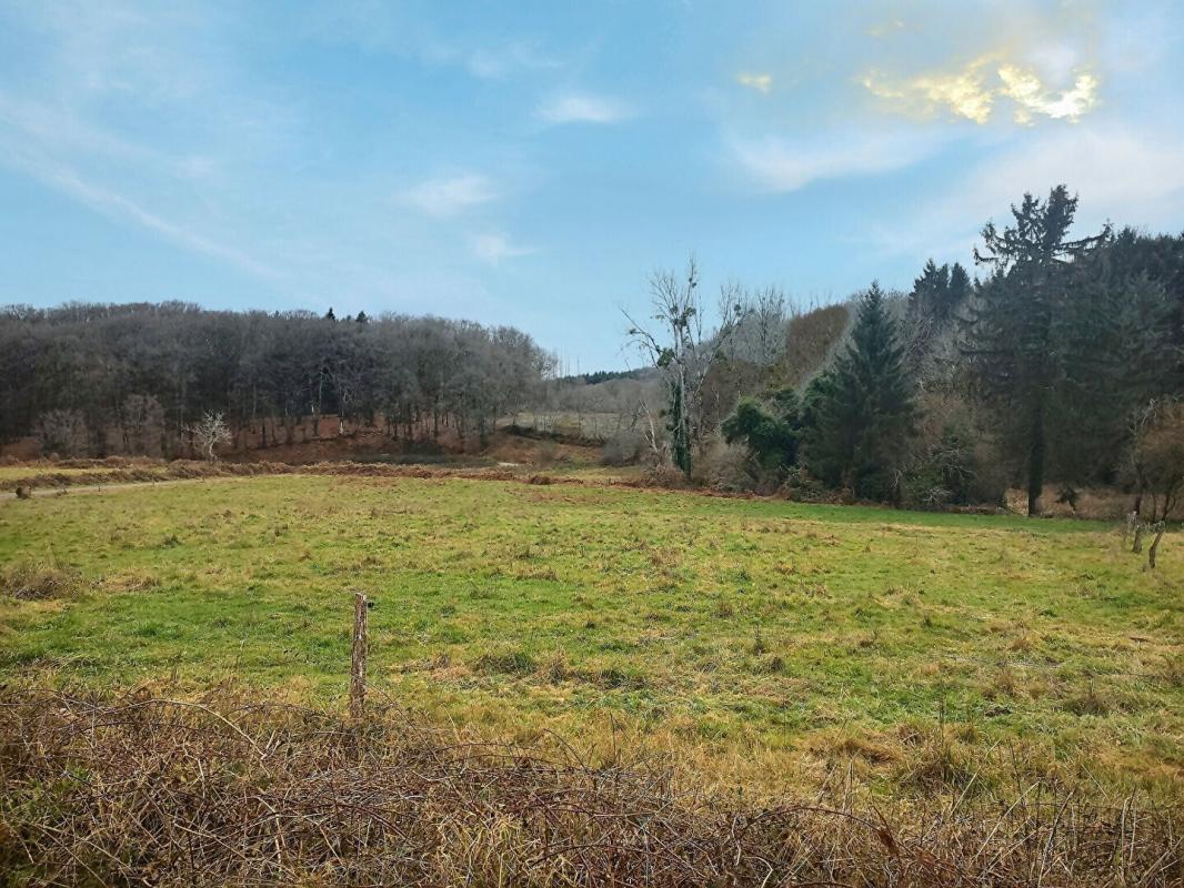SAINT-MARTIN-DU-PUY Maison Saint Martin Du Puy 4 pièces 85 m2 8
