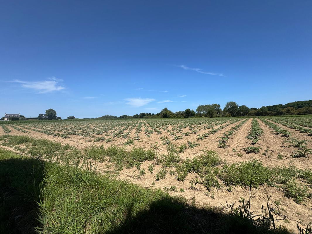 PLEUMEUR-GAUTIER Corps de ferme en pierre à Pleumeur-Gautier , 4 ch potentielles ,Dépendances , 14 912 m² ,Proche plages (Côtes-d'Armor) 17