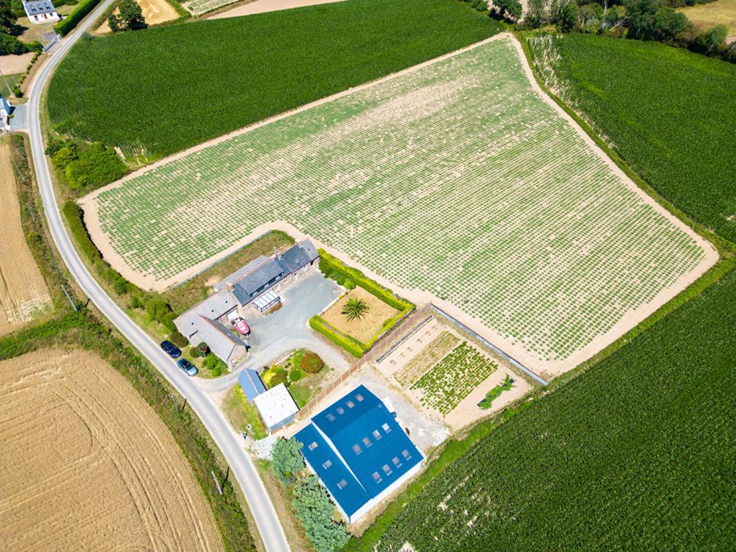 PLEUMEUR-GAUTIER Corps de ferme en pierre à Pleumeur-Gautier , 4 ch potentielles ,Dépendances , 14 912 m² ,Proche plages (Côtes-d'Armor) 18