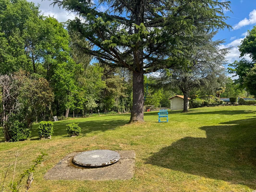BUSSAC A vendre, superbe propriété en pierre de 245 m² habitable située à BUSSAC 24350 13