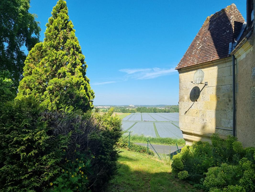 LAVARDIN Magnifique manoir renaissance 9