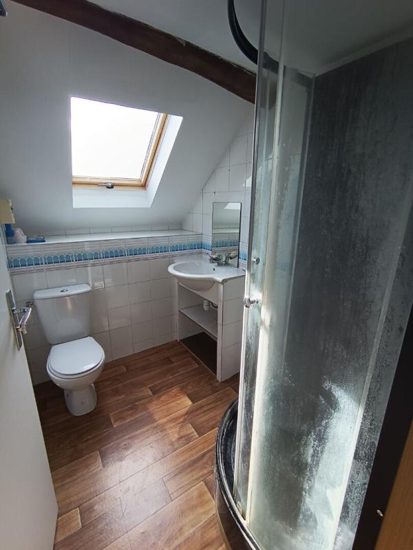 LA CELLE-SUR-NIEVRE 30 MINUTES DE NEVERS - ANCIEN MOULIN AVEC 2 HABITATIONS 16