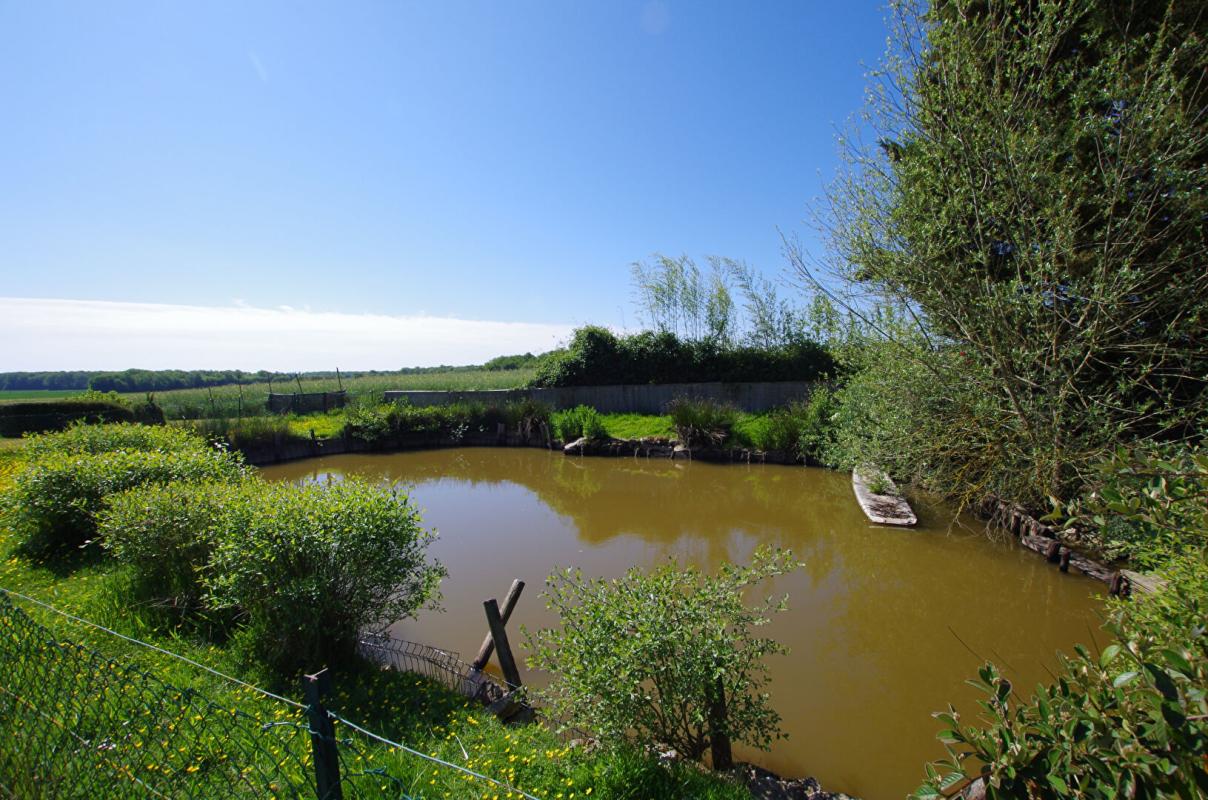 AILLANT-SUR-MILLERON Maison Aillant Sur Milleron 16