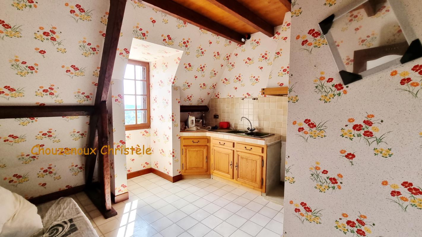 SARLAT-LA-CANEDA 24200 Sarlat La Caneda :Maison et gîte, dépendances et piscine sur 5000m² 12
