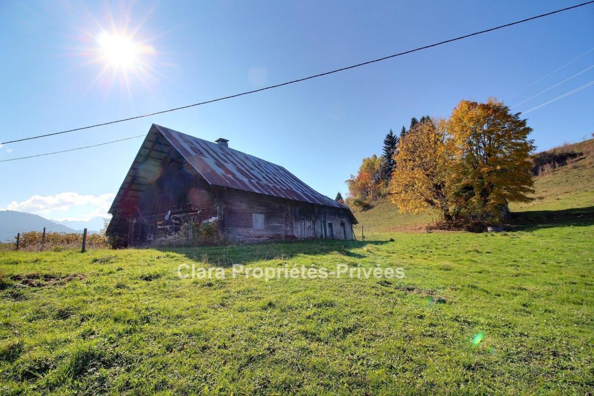 UGINE Ancien chalet à rénover au coeur de la nature 1
