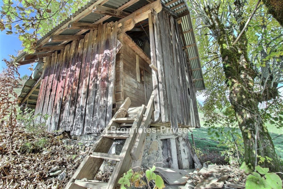 UGINE Ancien chalet à rénover au coeur de la nature 7