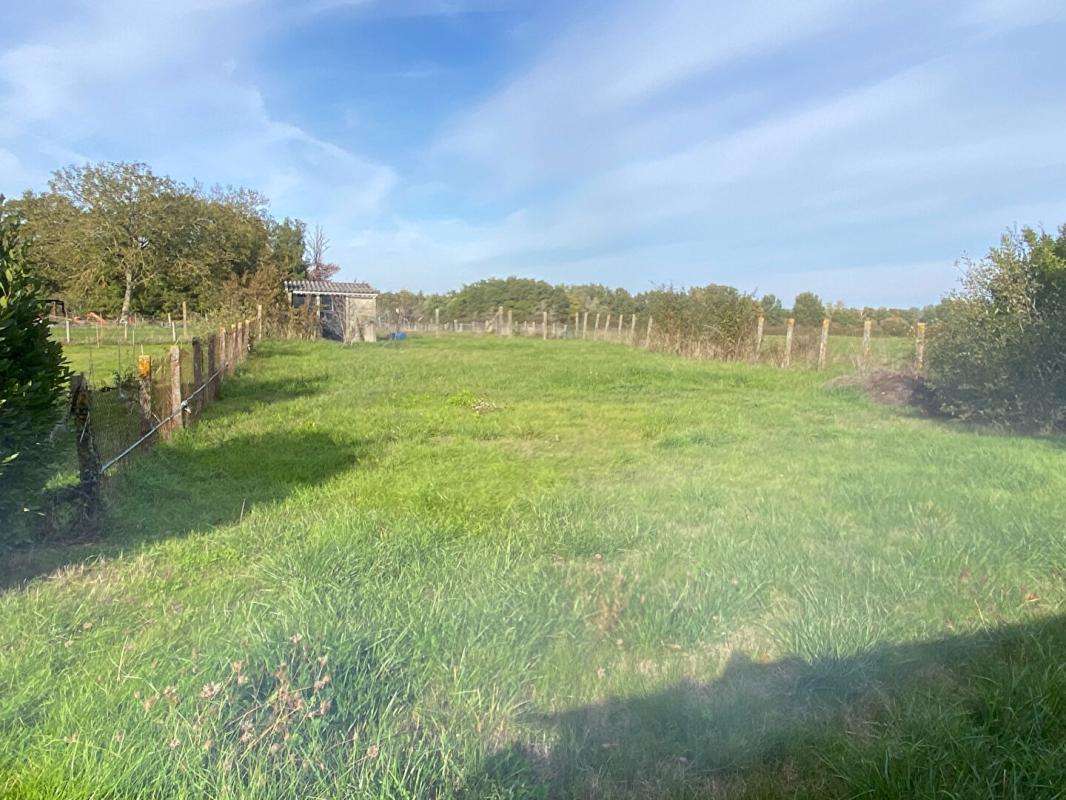 LINGE Maison Linge 5 pièce(s) 105 m2 16