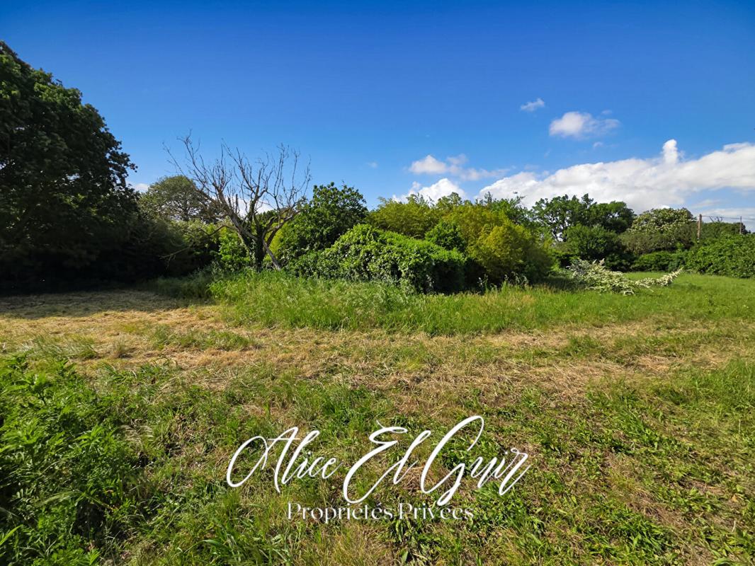 ALZONNE Maison Alzonne 110 m2 sur 3000 m² de terrain 18