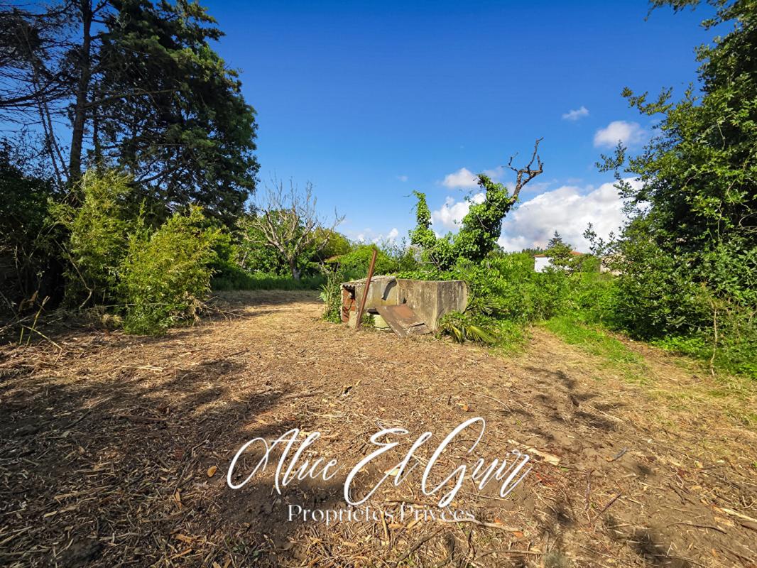 ALZONNE Maison Alzonne 110 m2 sur 3000 m² de terrain 7