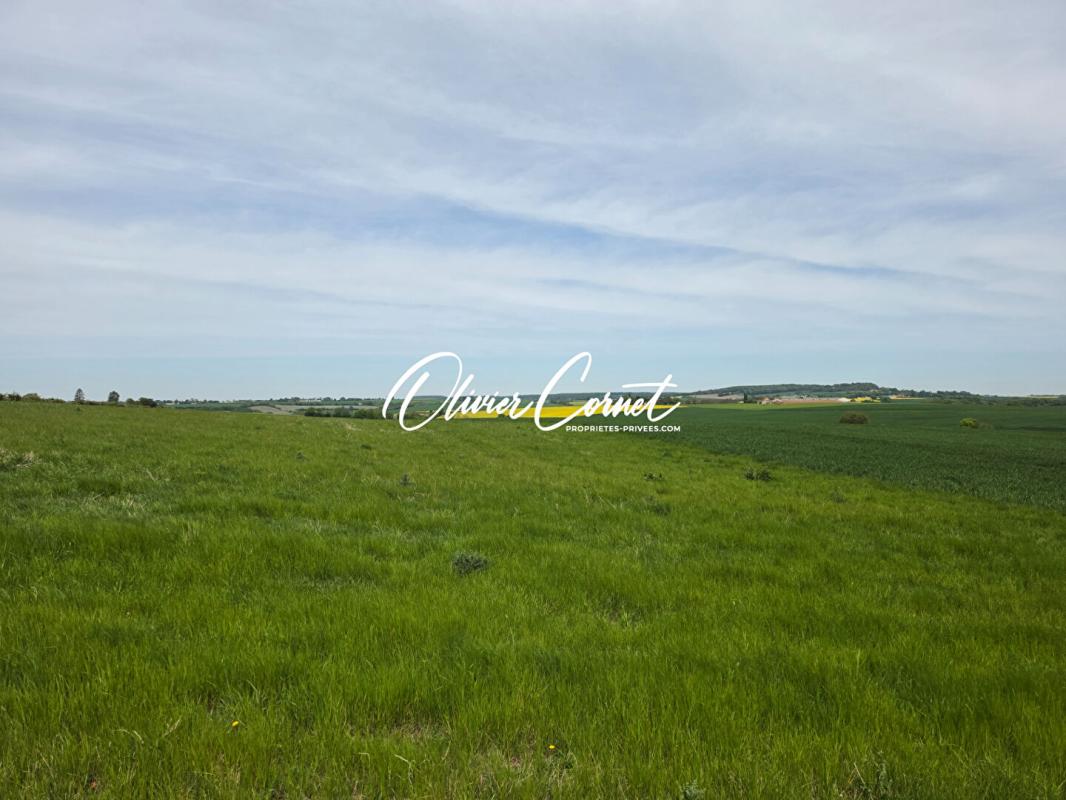 NOGENT-LE-ROTROU Longère rénovée 120 m² proche Nogent Le Rotrou 4