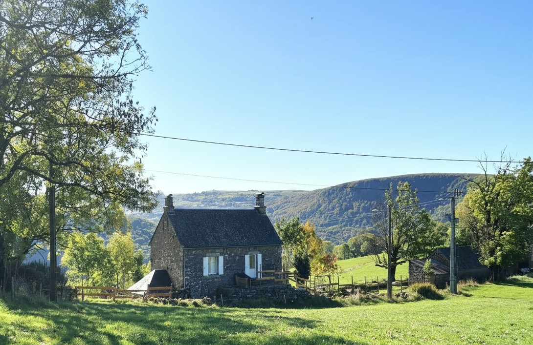 MENET Maison en pierre avec source, dépendances et vue panoramique , Menet (15400) 1