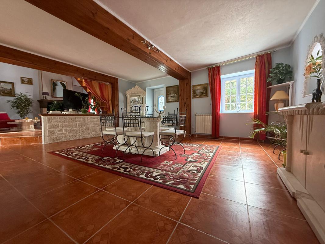 VILLENEUVE-SUR-ALLIER Maison Villeneuve Sur Allier 5 pièce(s) 220 m2 8