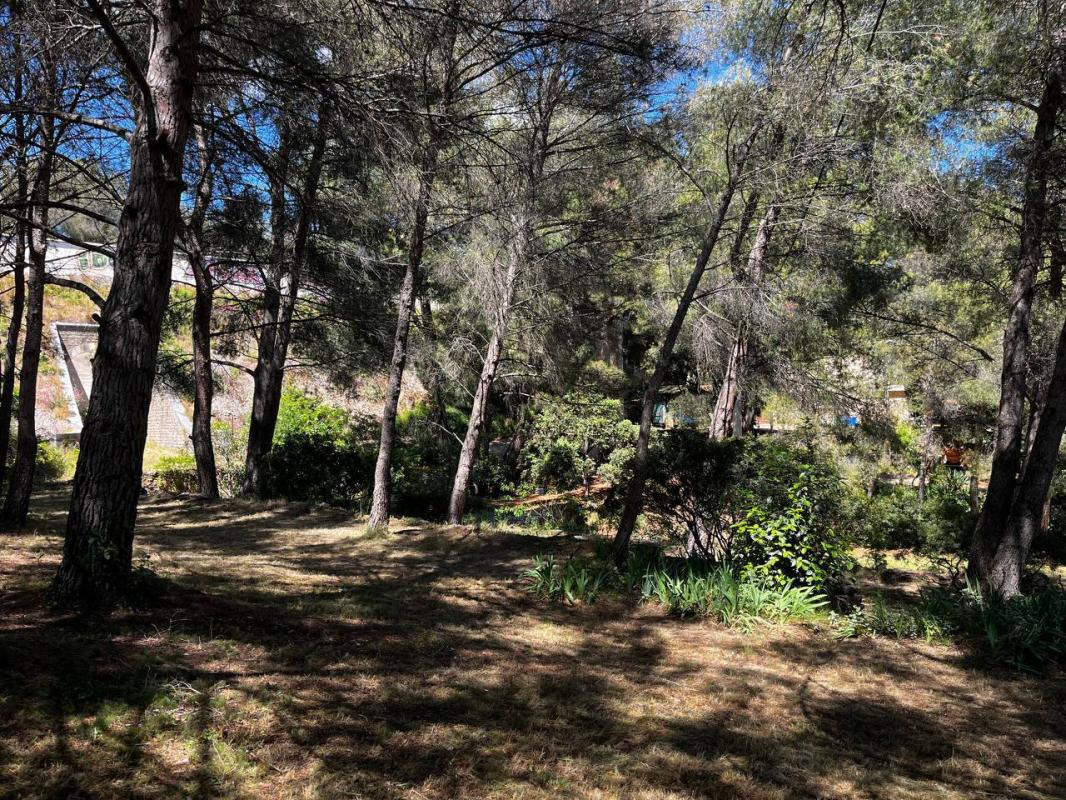 LA CIOTAT Maison avec piscine, garage, dépendance 4