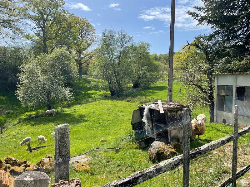 LE GRAND-BOURG Corps de ferme avec 12 hectares- fort potentiel  dans un secteur calme et verdoyant  Creuse 11