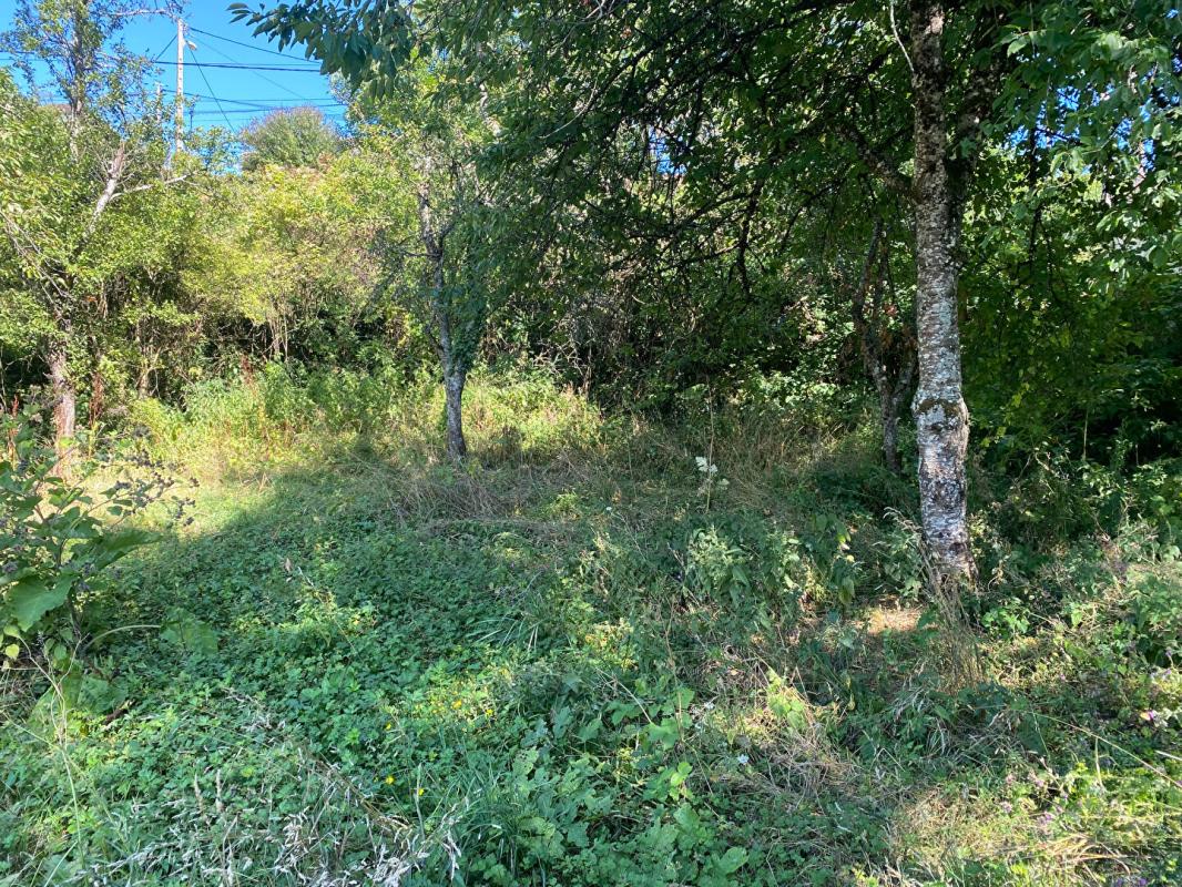 GRENANT-LES-SOMBERNON Terrain constructible 1294 m2 6