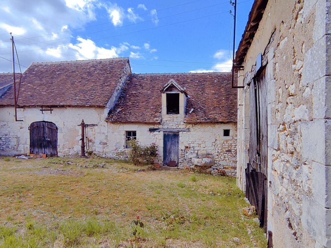 YZEURES-SUR-CREUSE Maison de pays Yzeures Sur Creuse 3 pièces grange et terrain 16