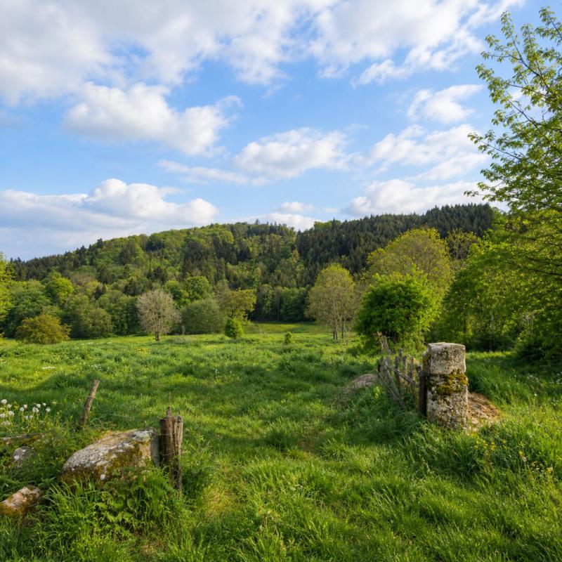 SAINT-JUST-EN-CHEVALET ST JUST EN CHEVALET - CORPS DE FERME 11
