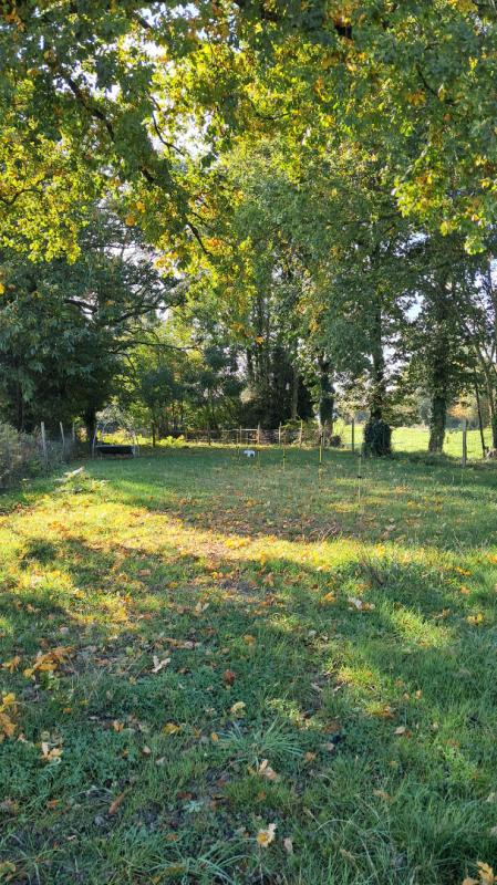 TRANS-LA-FORET Maison  4 pièce(s) 12