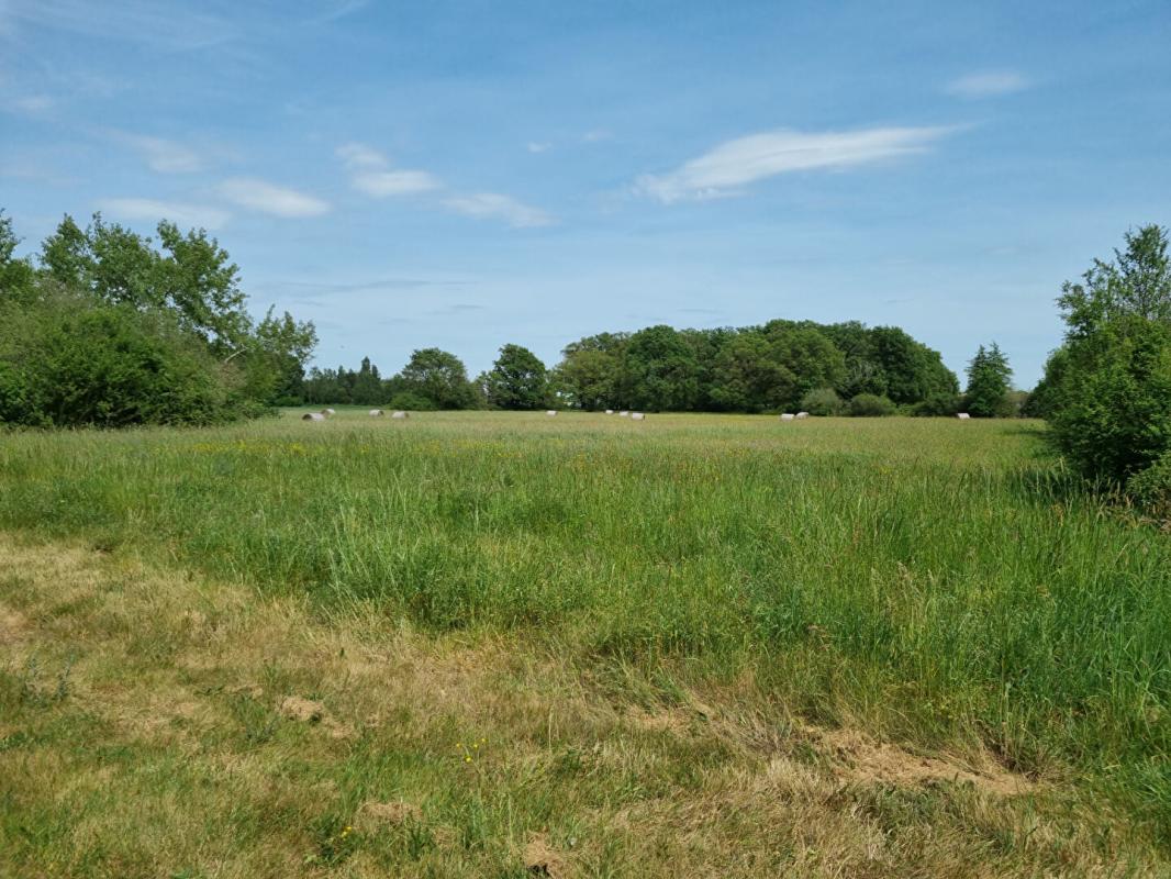 BOUZY-LA-FORET "EXCLUSIVITE"  GRANDE FERME 6 pièce(s)  et 28116 m² 15