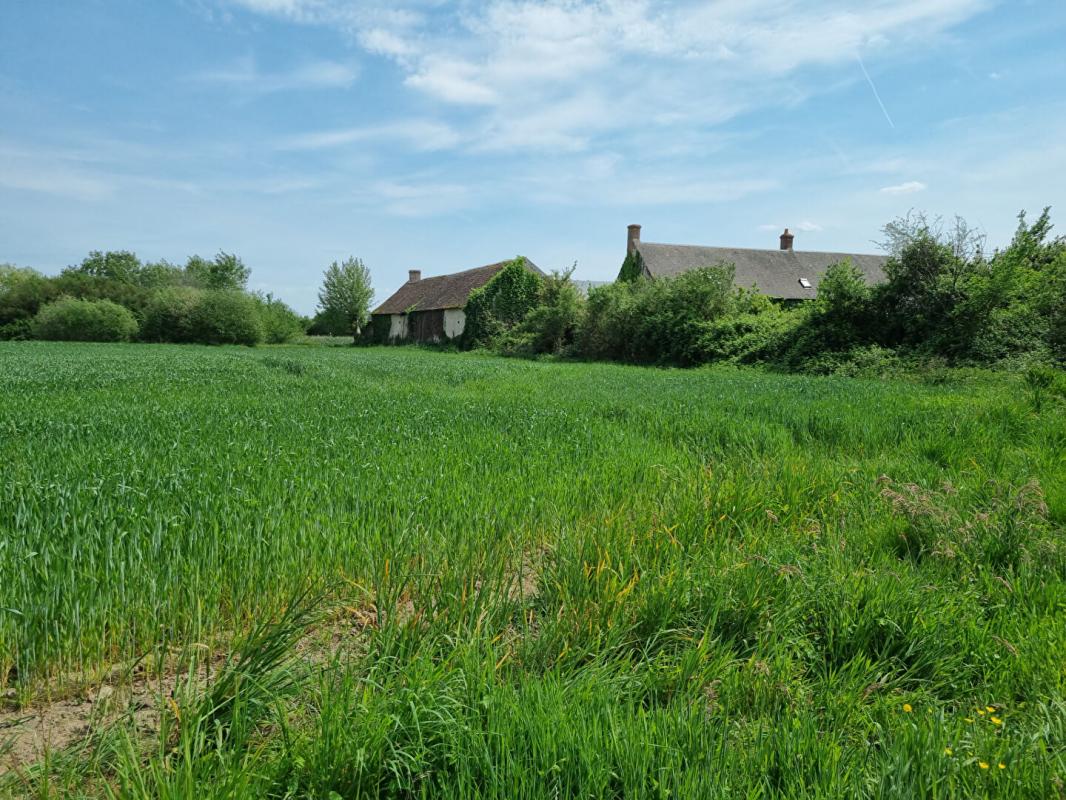 BOUZY-LA-FORET "EXCLUSIVITE"  GRANDE FERME 6 pièce(s)  et 28116 m² 18