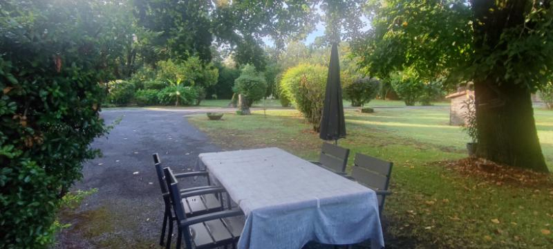 CASTRES ANCIEN CORPS DE FERME RÉNOVÉ  AVEC TERRASSES PISCINE ET DEPENDANCES  SUR 8700 m2 15
