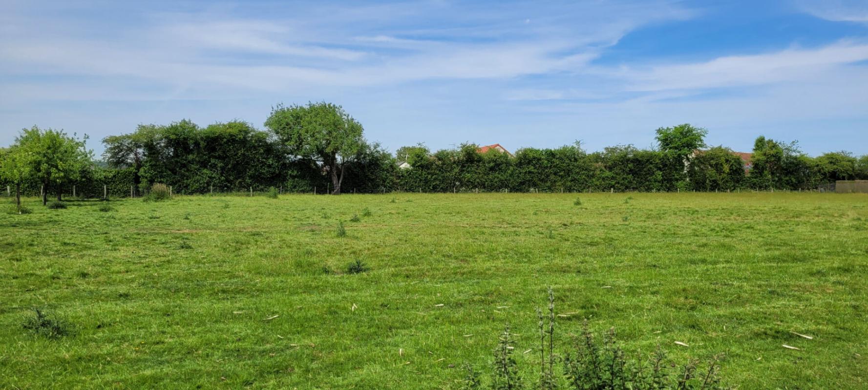 VENDOME TERRAIN A BATIR DE 4329 M² à EPUISAY 4