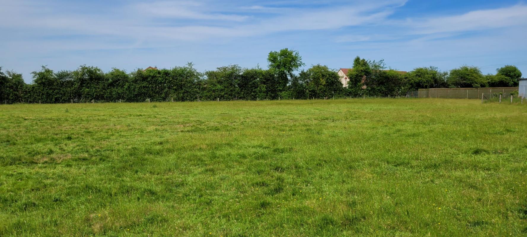 VENDOME TERRAIN A BATIR DE 4329 M² à EPUISAY 5