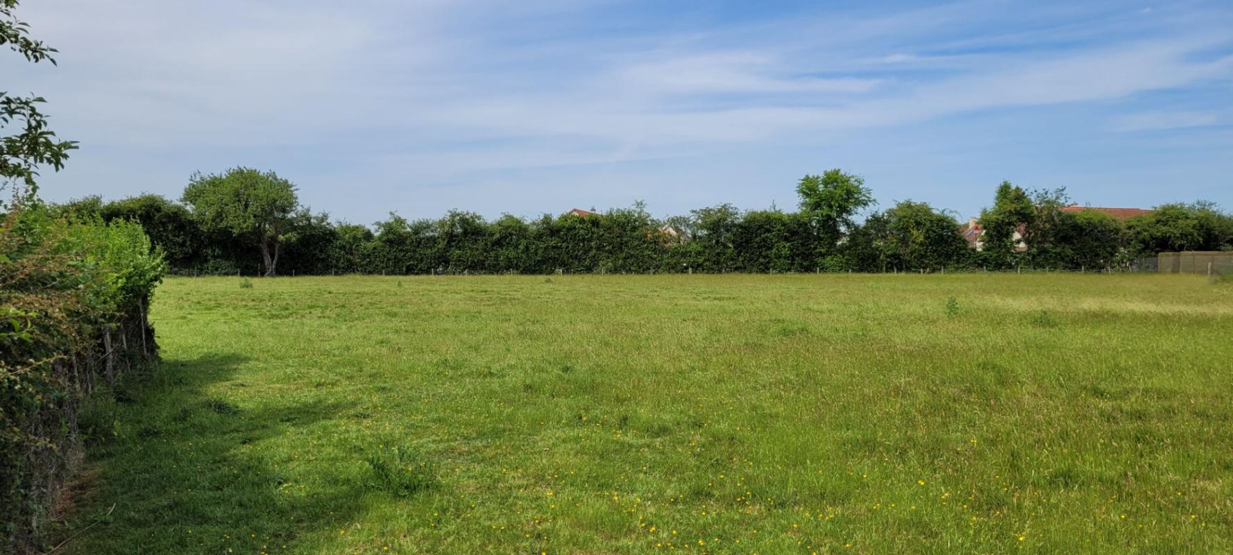 VENDOME TERRAIN A BATIR DE 4329 M² à EPUISAY 9
